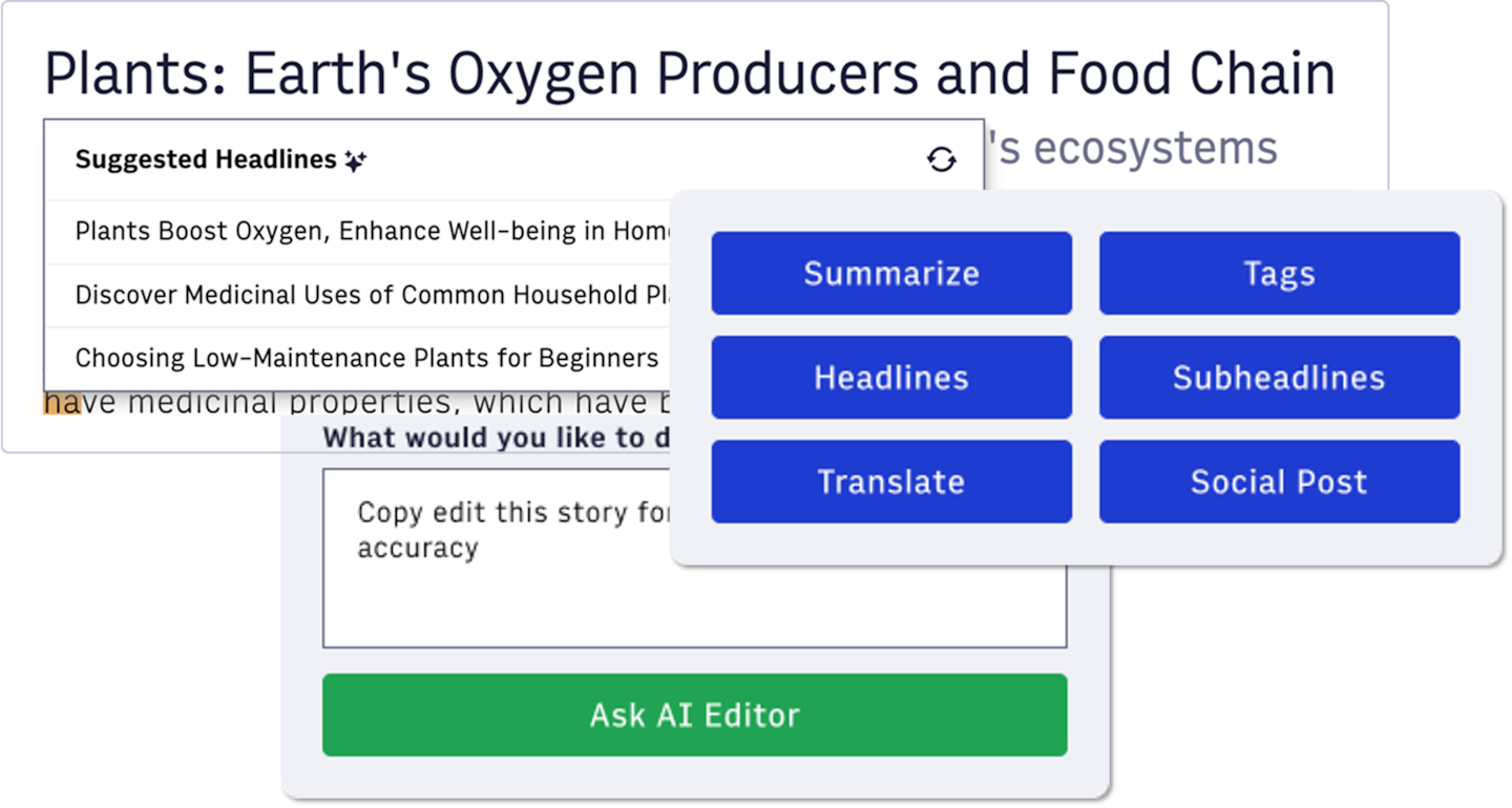 AI Editor and Automation - Group